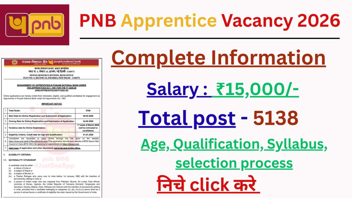 pnb apprentice vacancy 2026